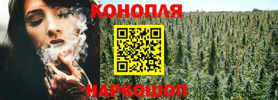 прущие грибы Ликино-Дулёво